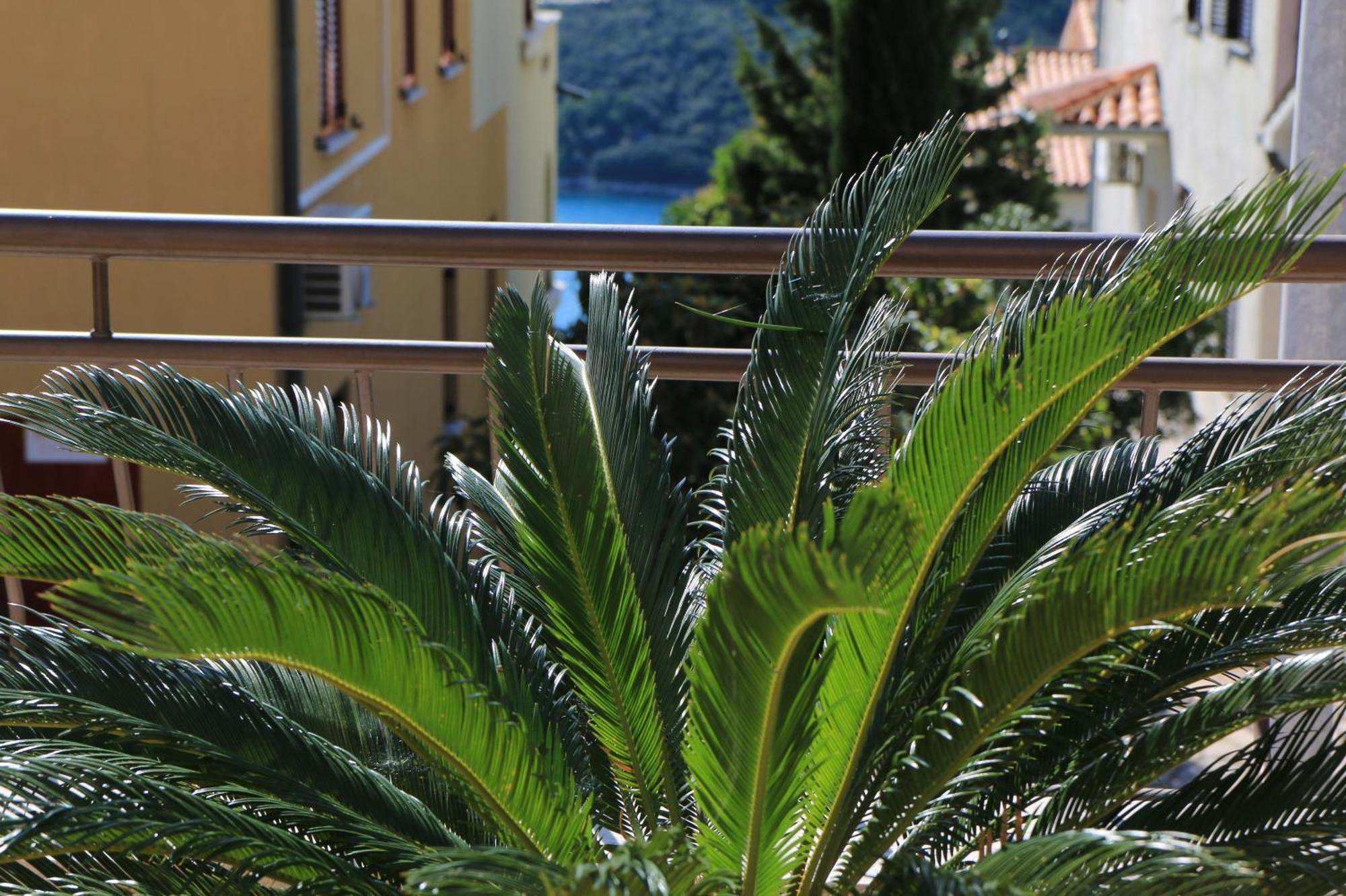 Apartments With A Parking Space Rabac, Labin - 7429 Exteriér fotografie